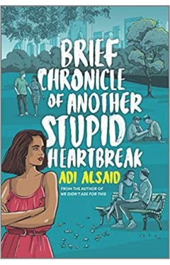 Brief Chronicle of Another Stupid Heartbreak - (TPB)